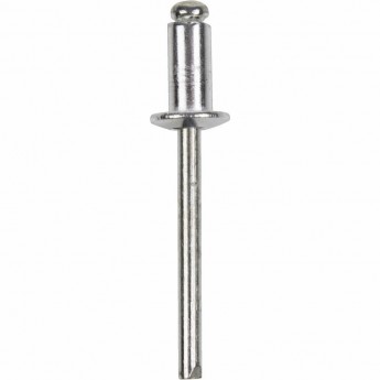 Заклепки REXANT 4.8xx8 мм, 50 шт.